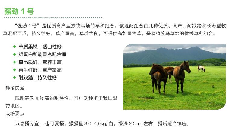 强劲1号.jpg