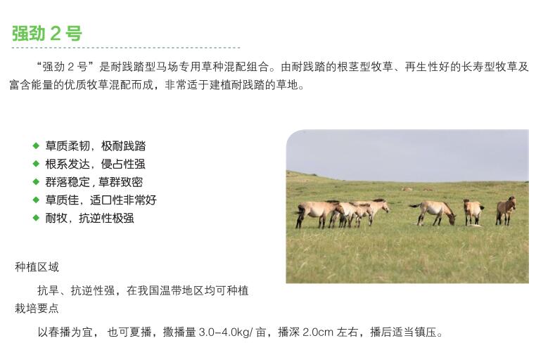 强劲2号.jpg