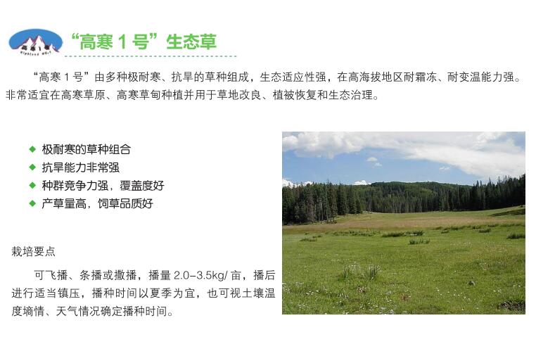 高寒1号.jpg