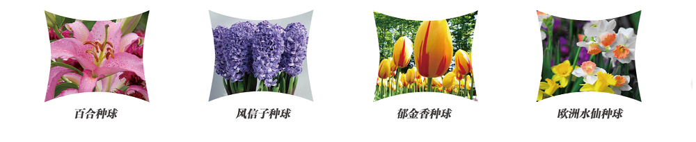 QQ截图20190531155011.png