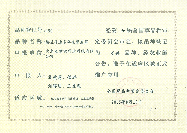 格兰丹迪多年生黑麦草.jpg