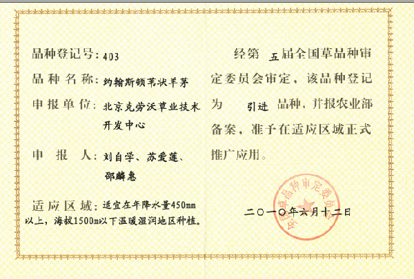 约翰斯顿苇状羊茅.png