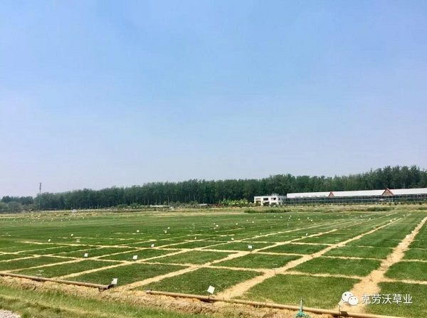 微信图片_20190620134245.jpg