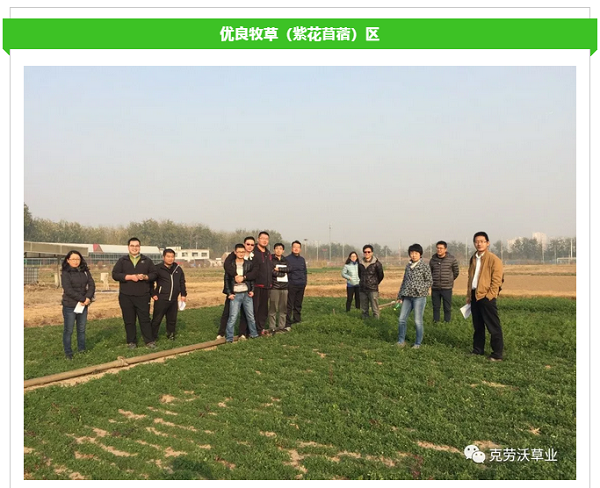 QQ截图20190620135140.png