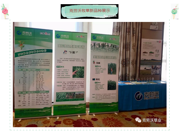 QQ截图20190620154916.png