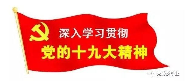 微信图片_20190625102028.jpg
