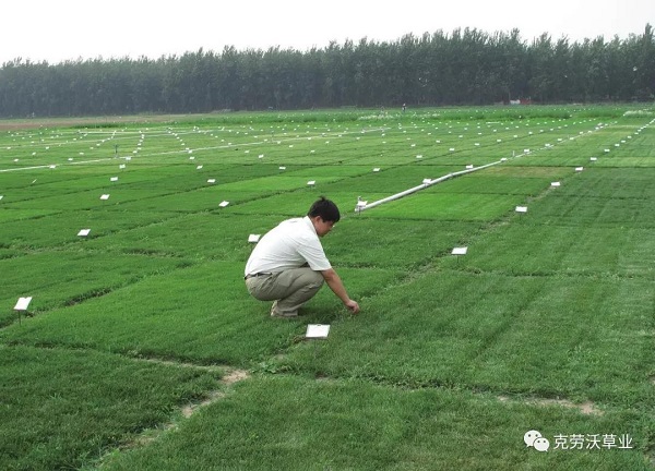 微信图片_20190620142110.jpg