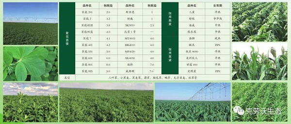 微信图片_20190715155700.jpg