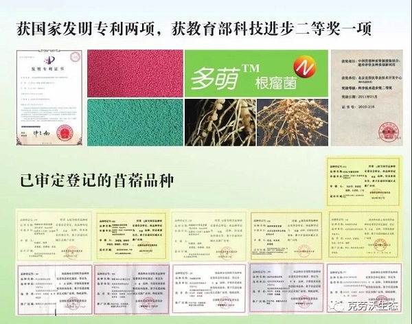 微信图片_20190715155703.jpg